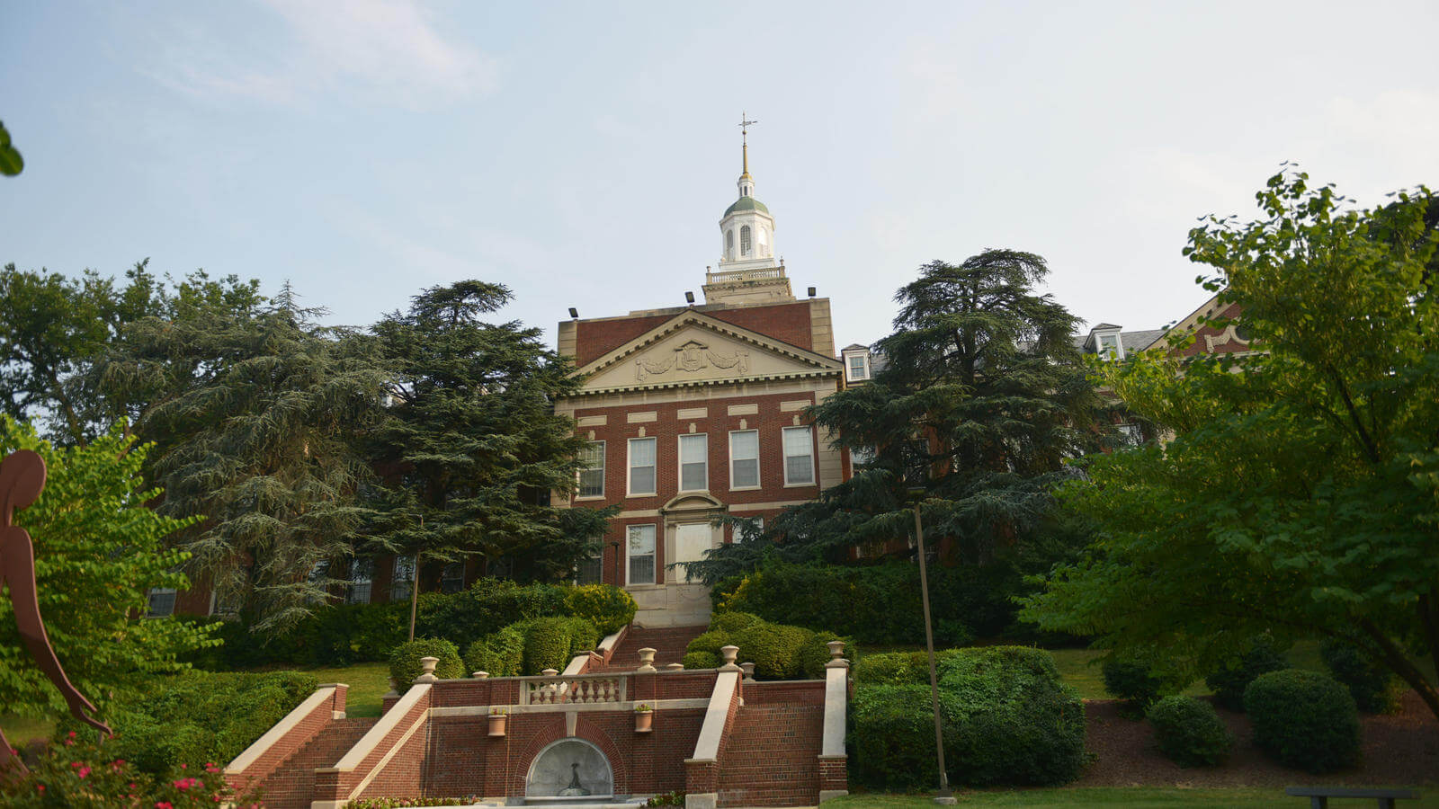 The Library