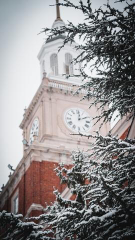 clock through tree with snow